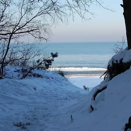 Alloggio in famiglia Orchidea *