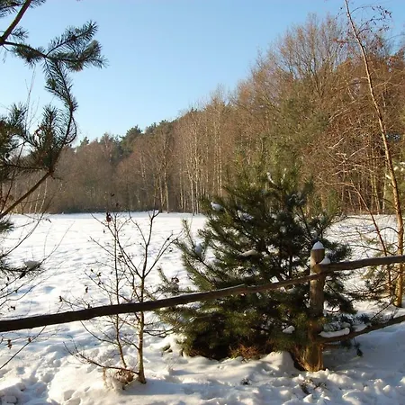 Orchidea * Grzybowo (West Pomeranian)