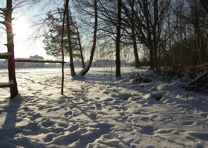 Kwatera prywatna Orchidea