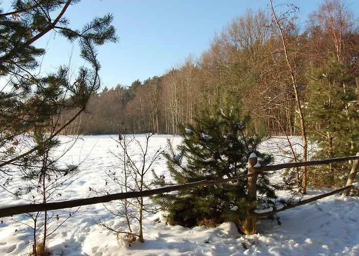 Orchidea * Grzybowo (West Pomeranian)