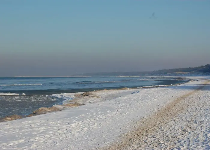 Orchidea Grzybowo (West Pomeranian)